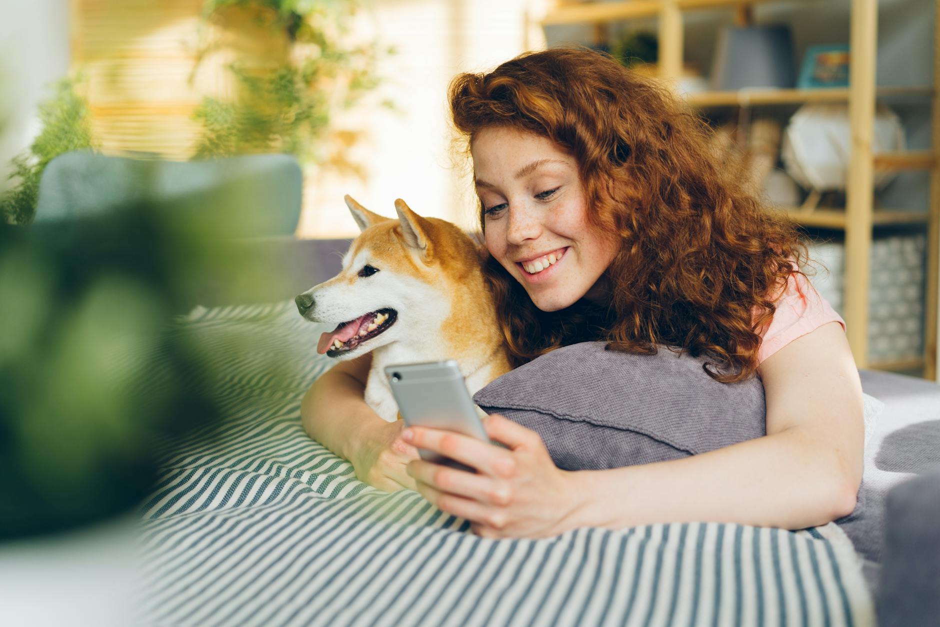 A Smiling Woman Lying on a Sofa with Her Shiba Inu Dog and Using Her Phone