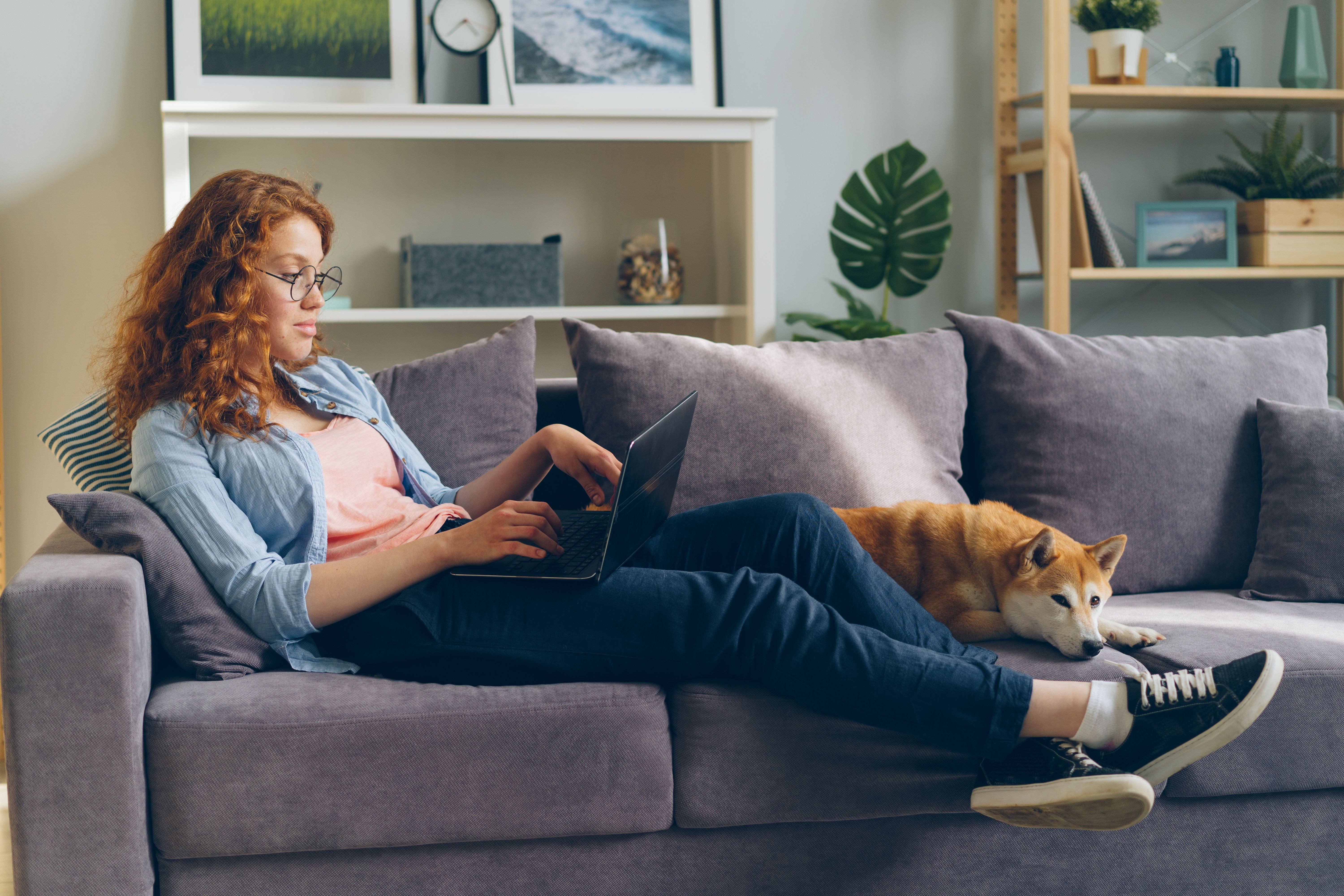 pet technology, pet technology companies, pet technology jobs, pet technology store, pet technology brain, pet technology mar