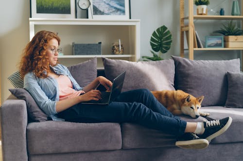 Woman sitting on couch with laptop and dog