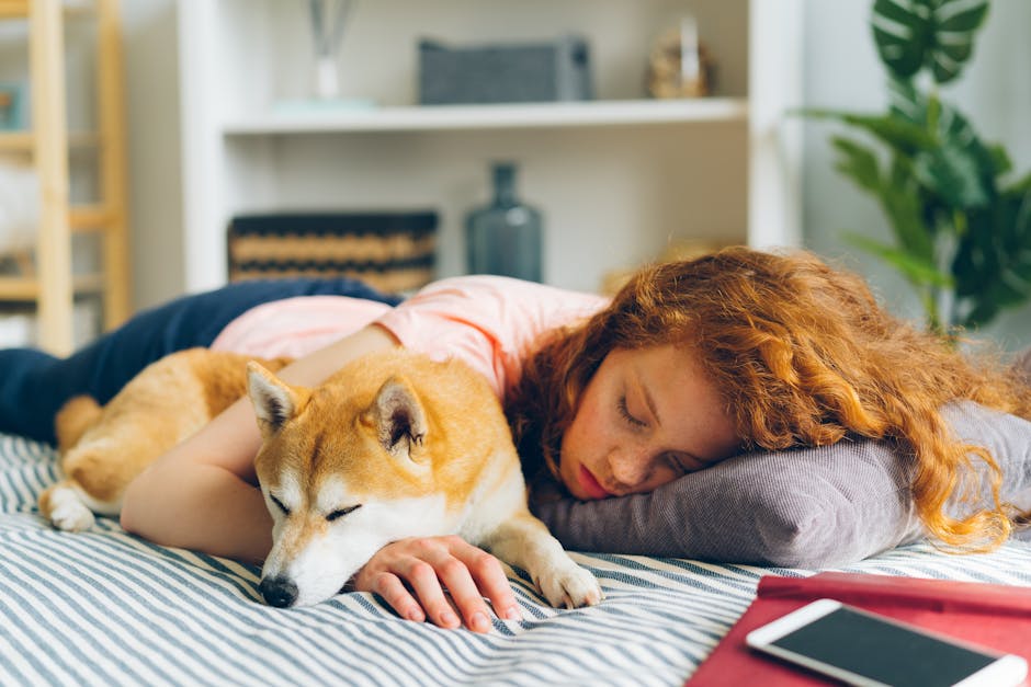 Pet Therapy: The Furry Solution to Mental Health Struggles