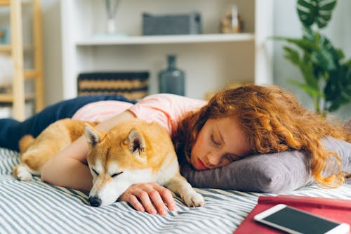 Free Redhead Woman Sleeping with Dog Stock Photo