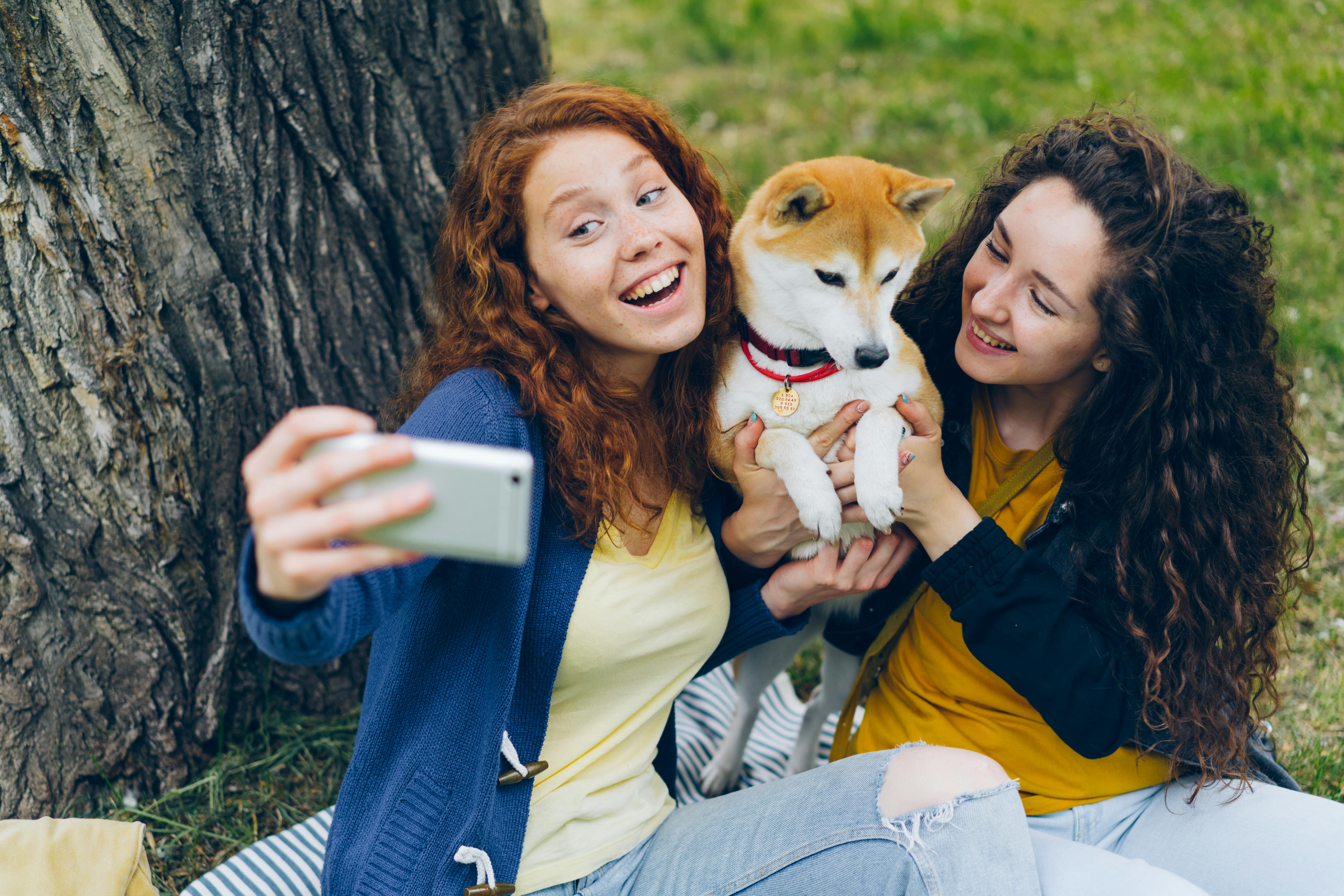 cuánto dura la batería de un collar GPS para perros