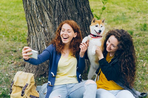 개, 동물, 미소 짓는의 무료 스톡 사진