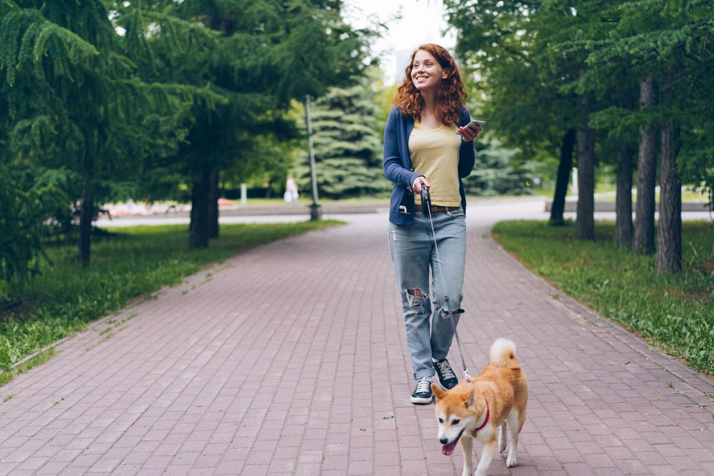 Smiling woman on a relaxed walk with her dog on a leash in the park
