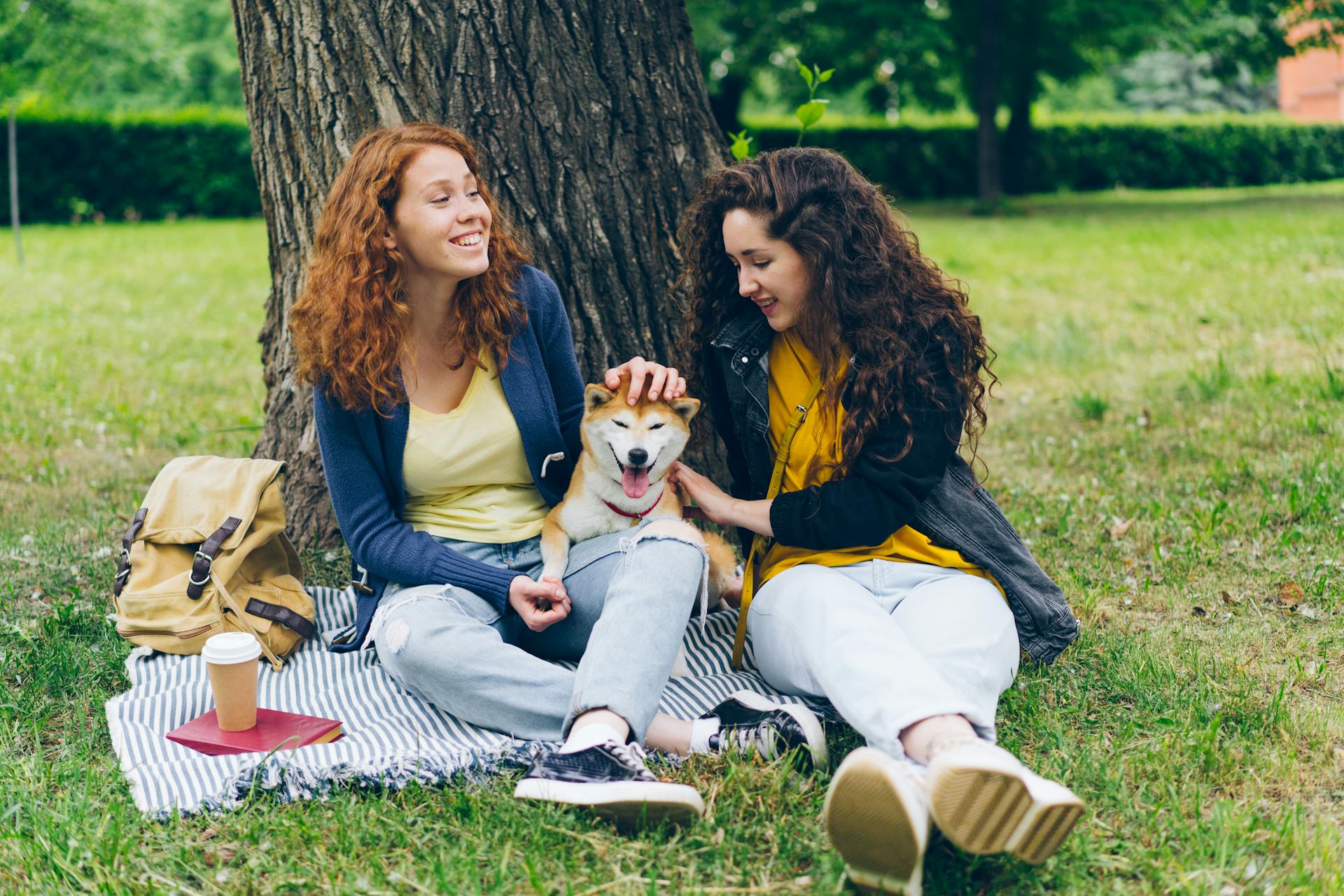 Women Patting Dog