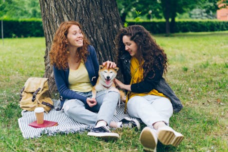 Two women sitting on a picnic blanket, patting a Shiba Inu in a park.