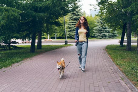 A smiling redhead woman walks her Shiba Inu dog in a green urban park on a sunny day.