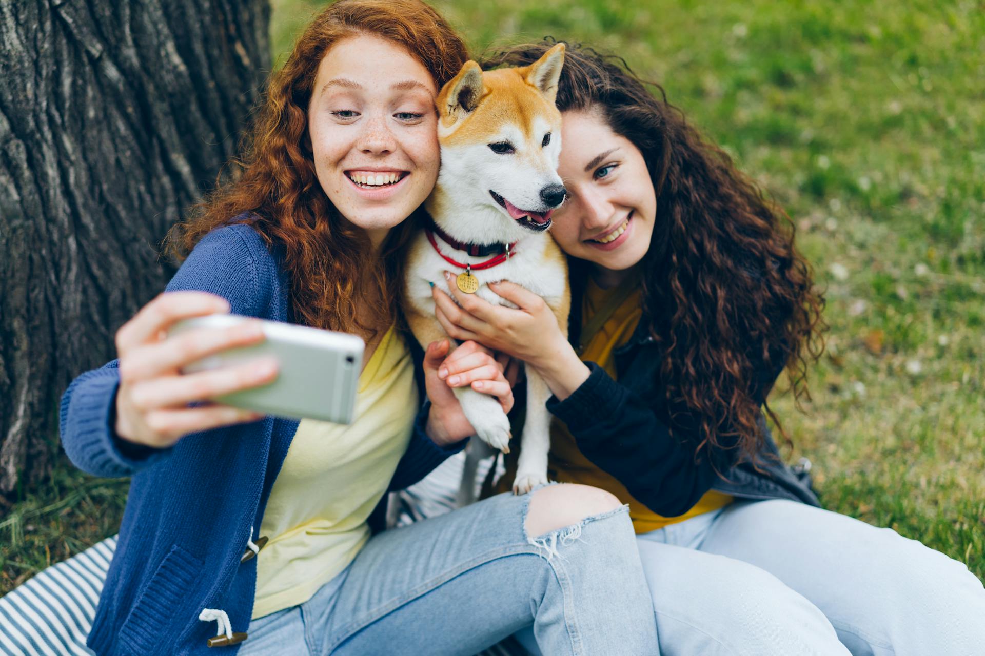 Des femmes s'assoient avec un Shiba Inu et prennent un selfie