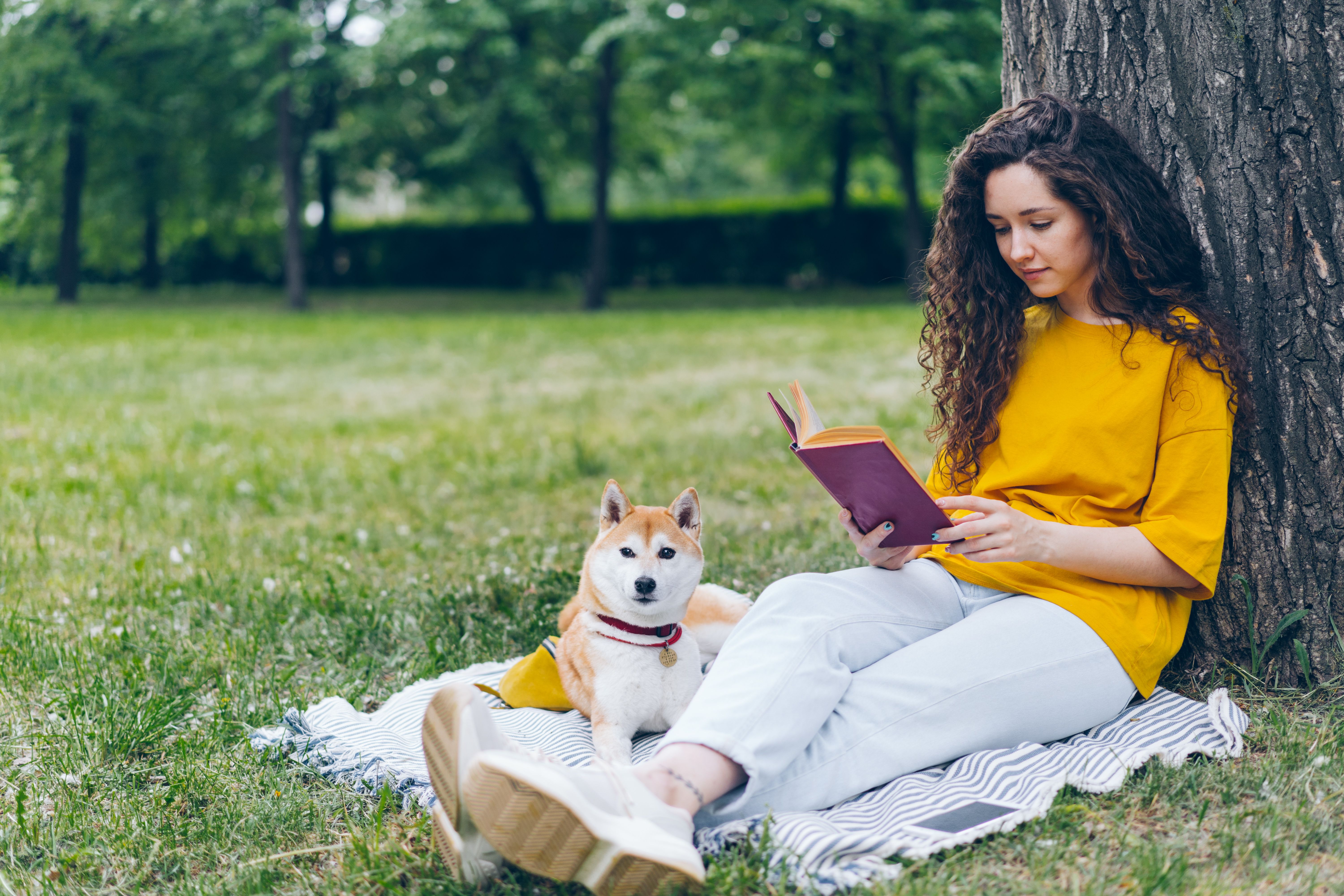Pet care: How to read a rescue dog's DNA before you adopt — Photo by Vitaly Gariev on Pexels