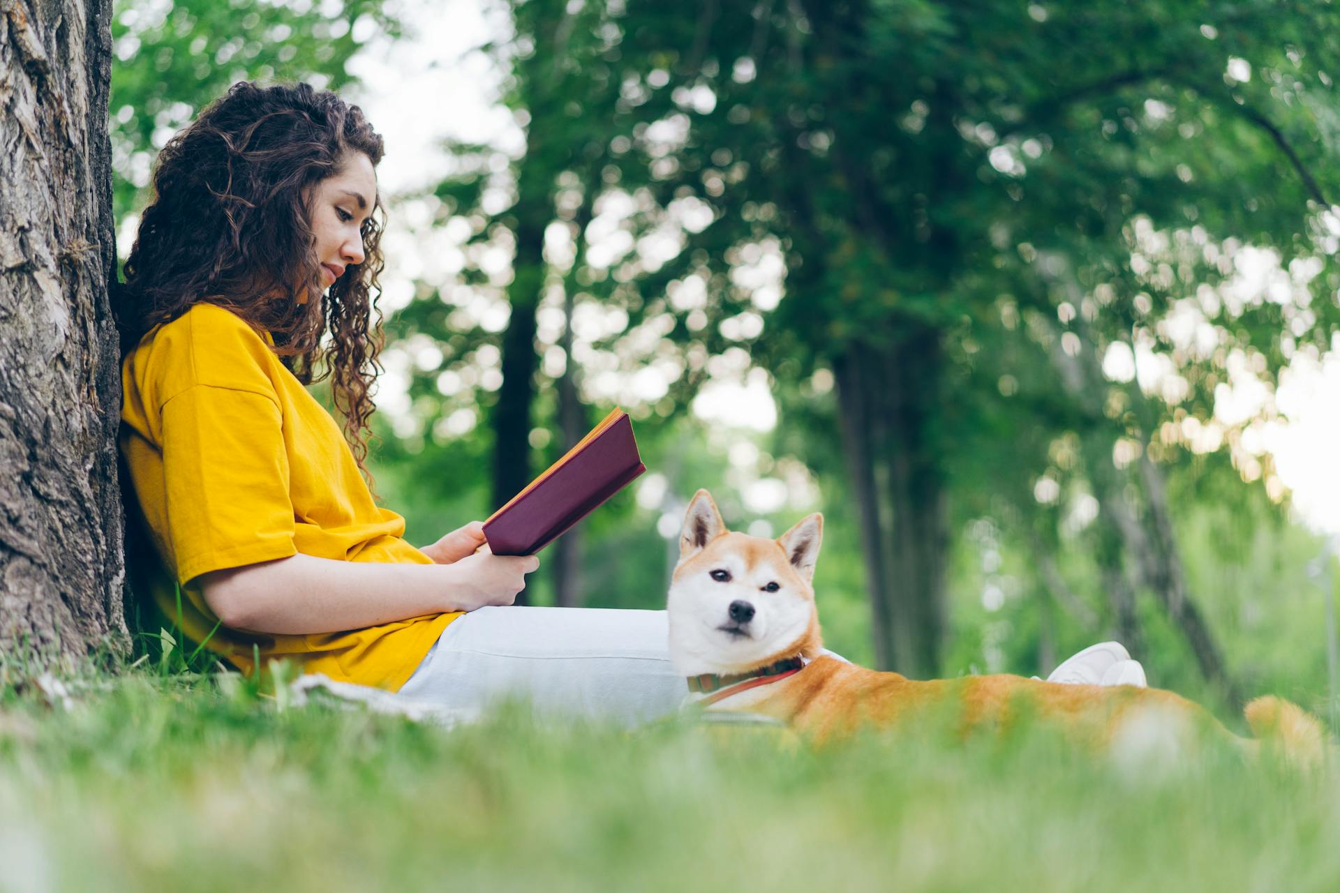 Een vrouw zit in een park met haar Shiba Inu-hond en leest een boek