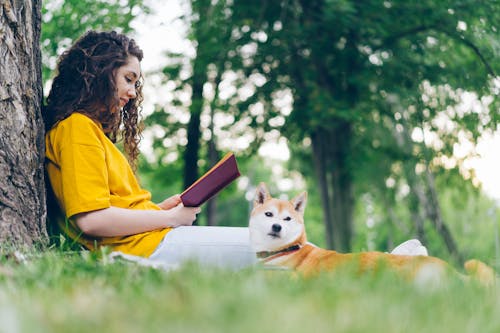 Free A Woman Sitting in a Park with Her Shiba Inu Dog and Reading a Book  Stock Photo