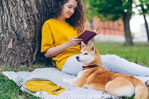개, 내리막 길, 독서하는의 무료 스톡 사진