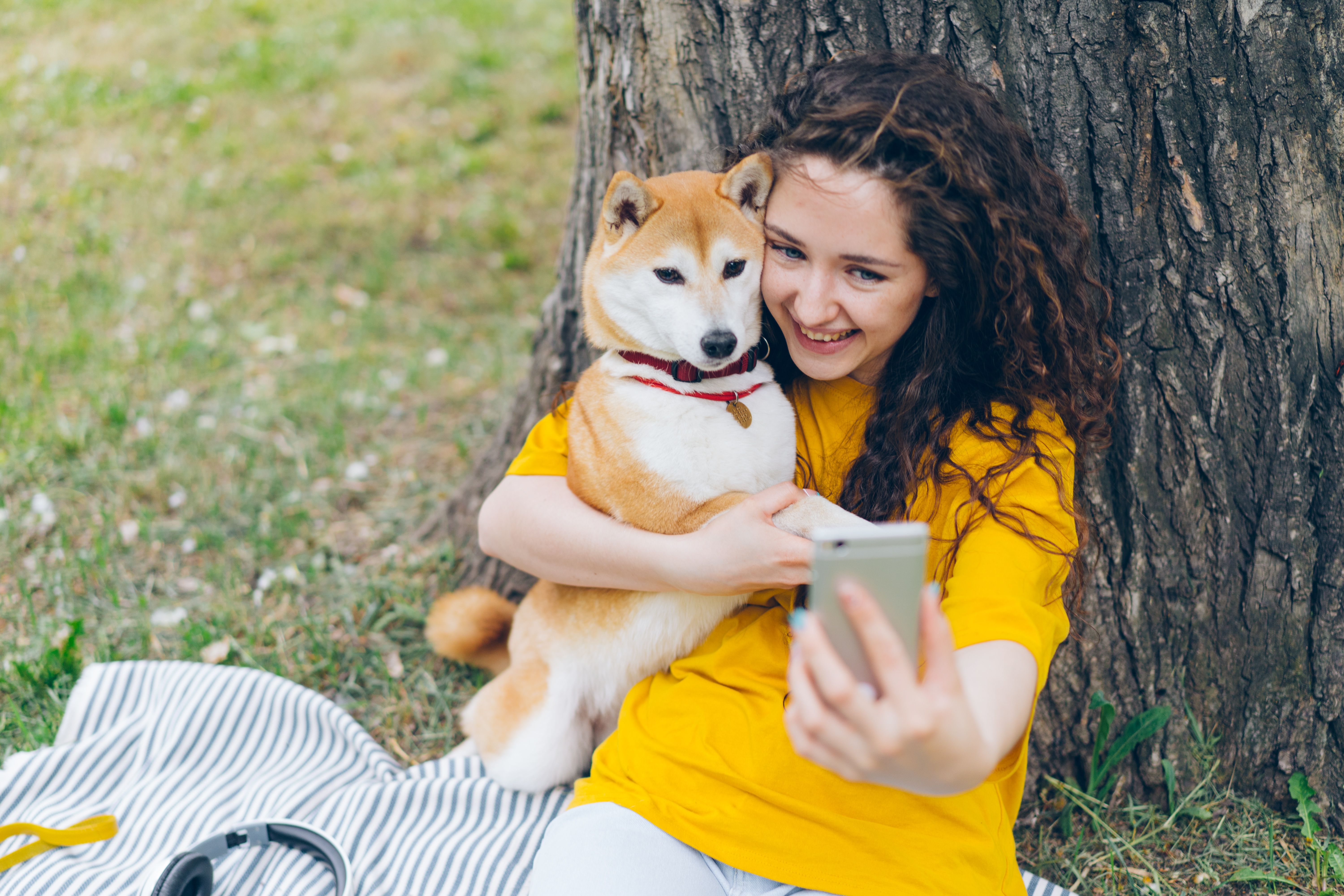 Dog Using Assistance Photos, Download The BEST Free Dog Using