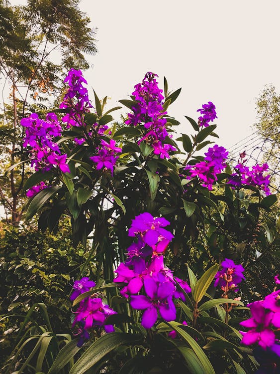 日本AI監控系統如何在2026年全面防範嬰兒猝死?深度剖析保育科技的未來影響 日本AI監控系統如何在2026年全面防範嬰兒猝死?深度剖析保育科技的未來影響