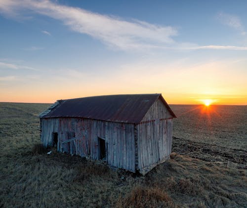 An old barn sits in the middle of a field at sunset