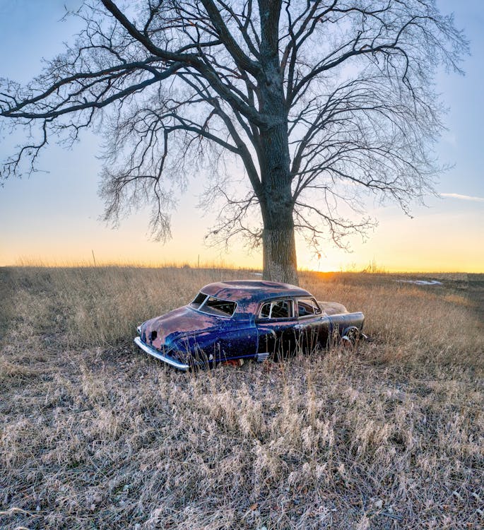 Gratis stockfoto met achtergelaten, auto, boom