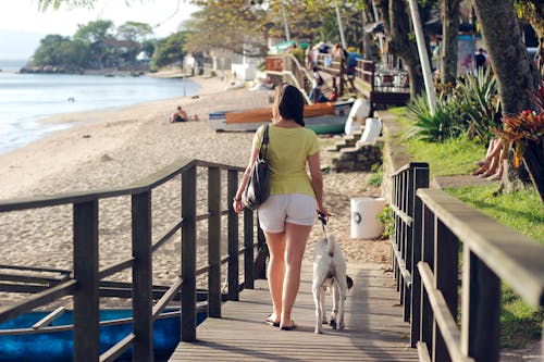 Unknown Celebrity Walking on Brown Wooden Bridge