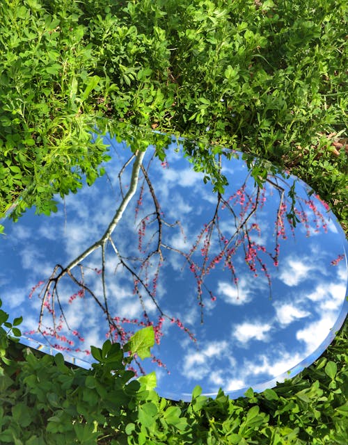 Foto profissional grátis de céu, espelho, filial