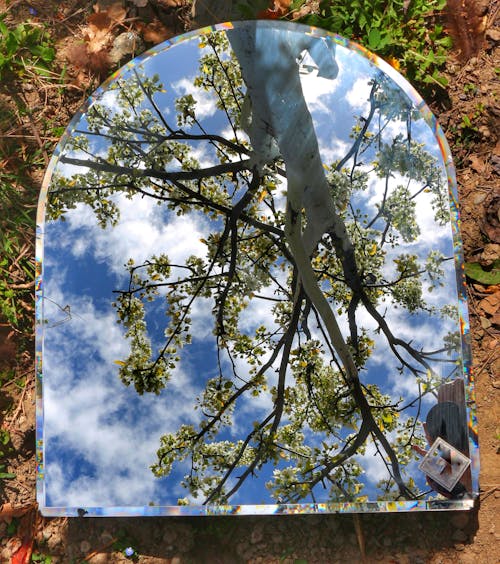 Kostenloses Stock Foto zu baum, boden, himmel