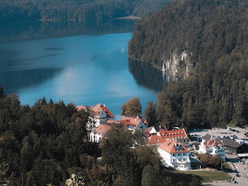 Foto d'estoc gratuïta de Alemanya, bosc, fita