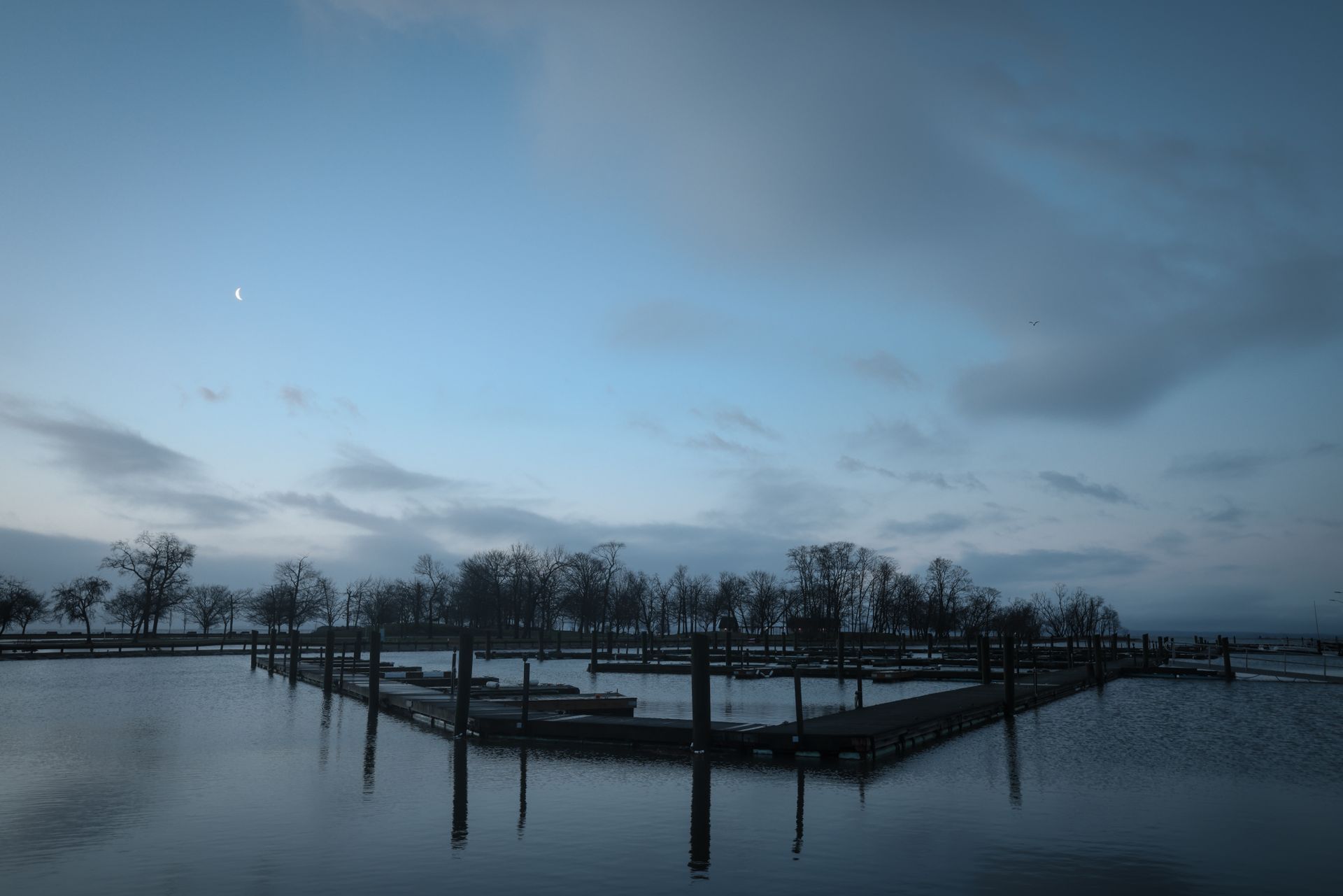 Twilight view of Stamford harbor with wooden piers, calm waters, and a crescent moon.