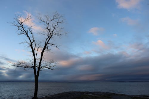 Fotos de stock gratuitas de agua, alba, amanecer