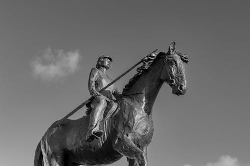 Imagine de stoc gratuită din alb-negru, artă, cavalerie