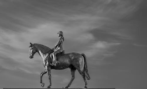 Foto profissional grátis de arte, cavalaria, cavalo