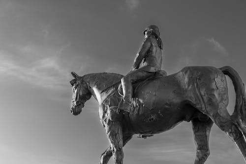 Foto profissional grátis de arte, bronze, cavalaria