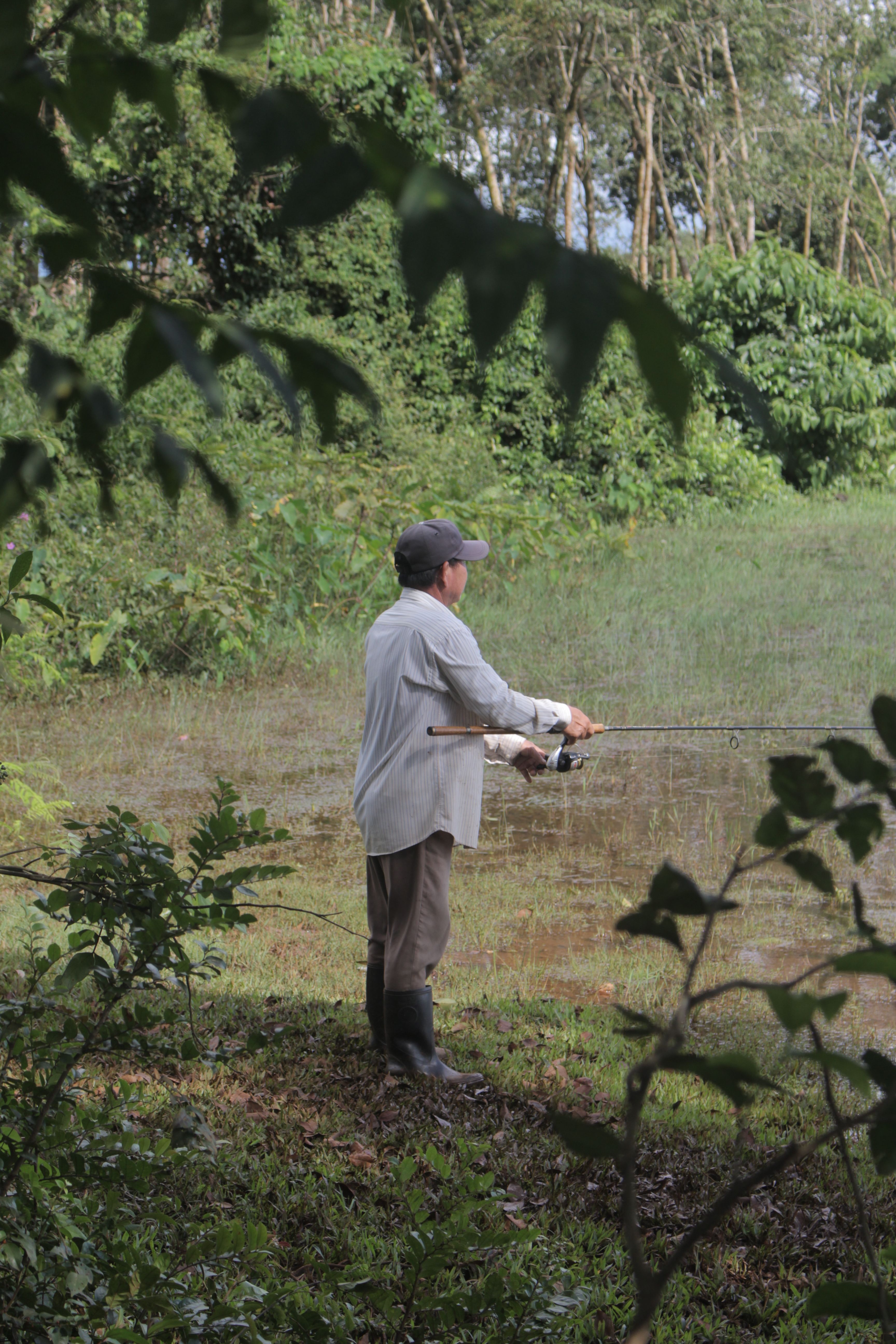 Man fishing at a serene forest lake in Bình Phước, Vietnam, capturing a moment of relaxation and nature.