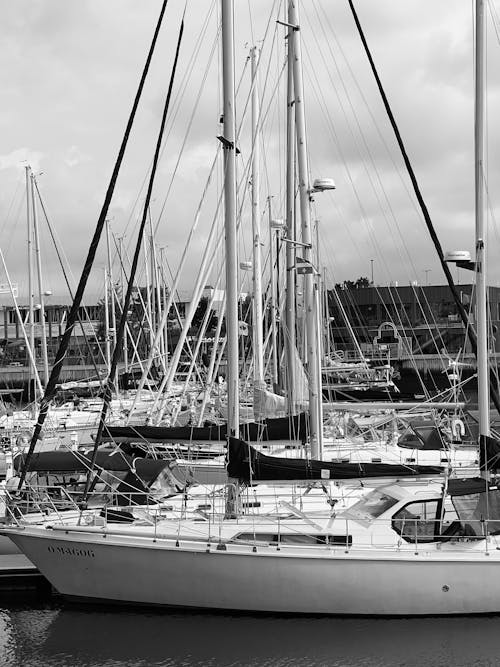 Black and white photo of sailboats docked at a marina