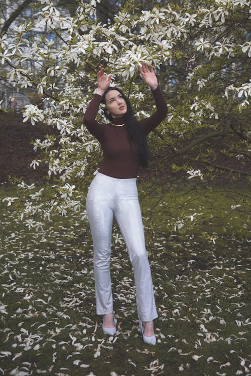 Fotos de stock gratuitas de árbol, cabello moreno, flores