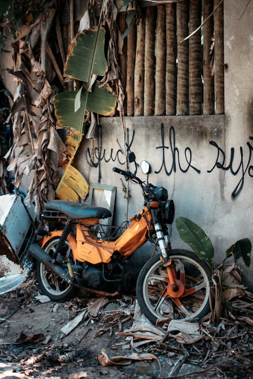 Fotobanka s bezplatnými fotkami na tému bicykel, Brazília, cestovať