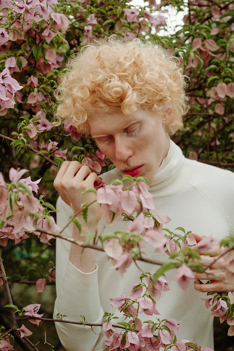 Photo Of Person Holding Pink Flowers