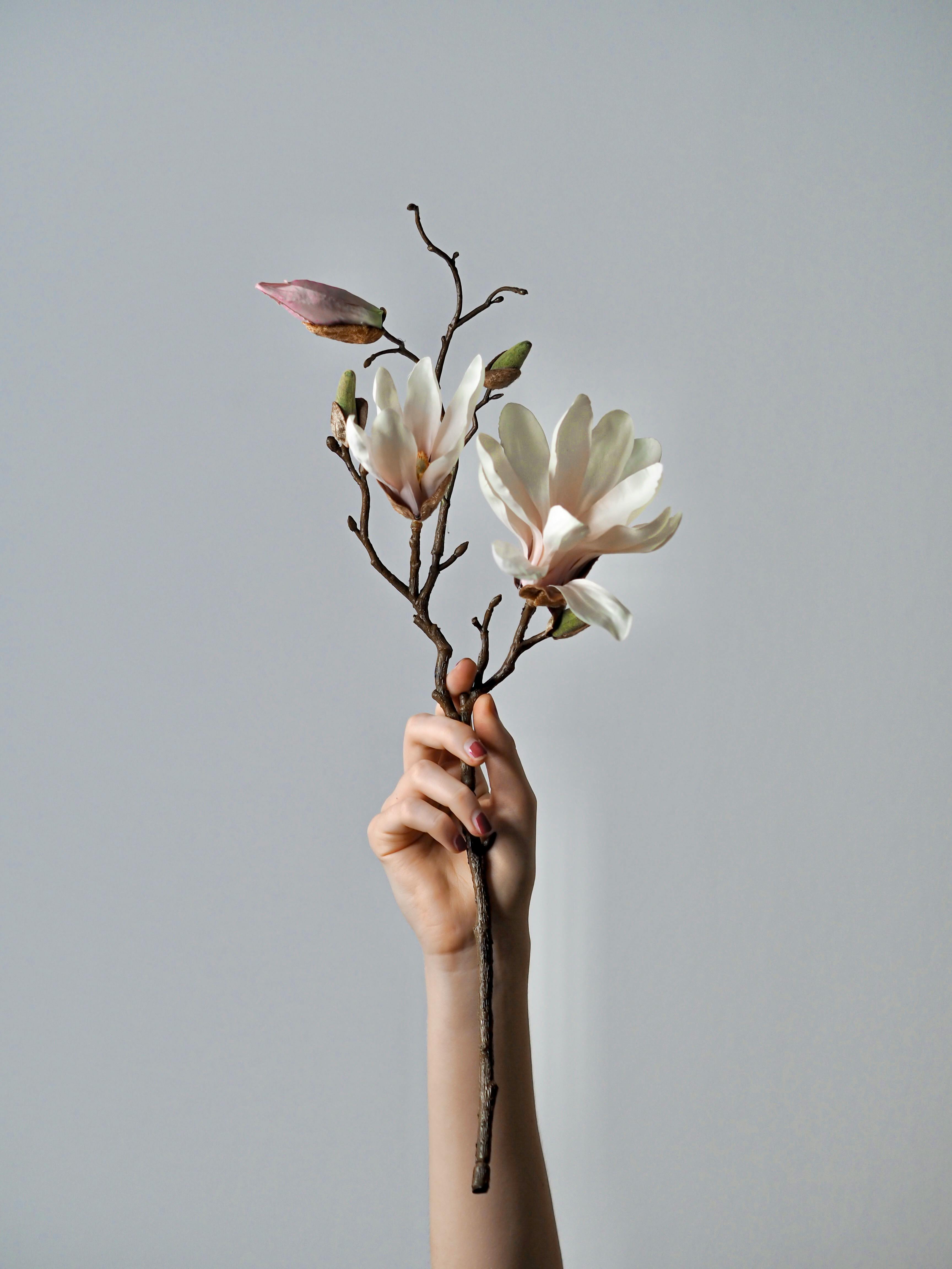 woman hand holding branch of flowers