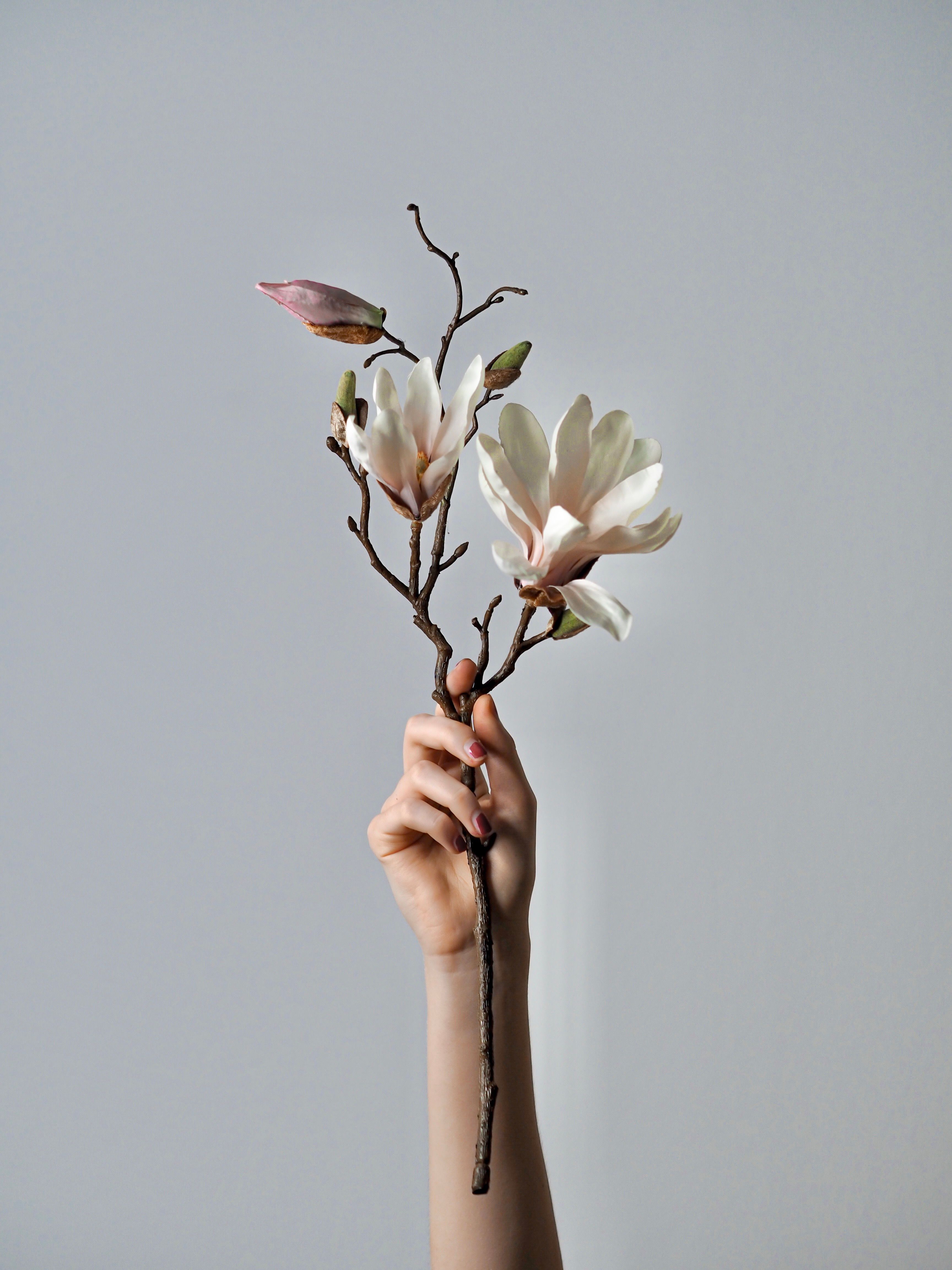 Flowers And Babes Photos Download The Best Free Flowers And Babes
