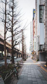 Vertical urban street view featuring modern architecture and barren trees on a city sidewalk.