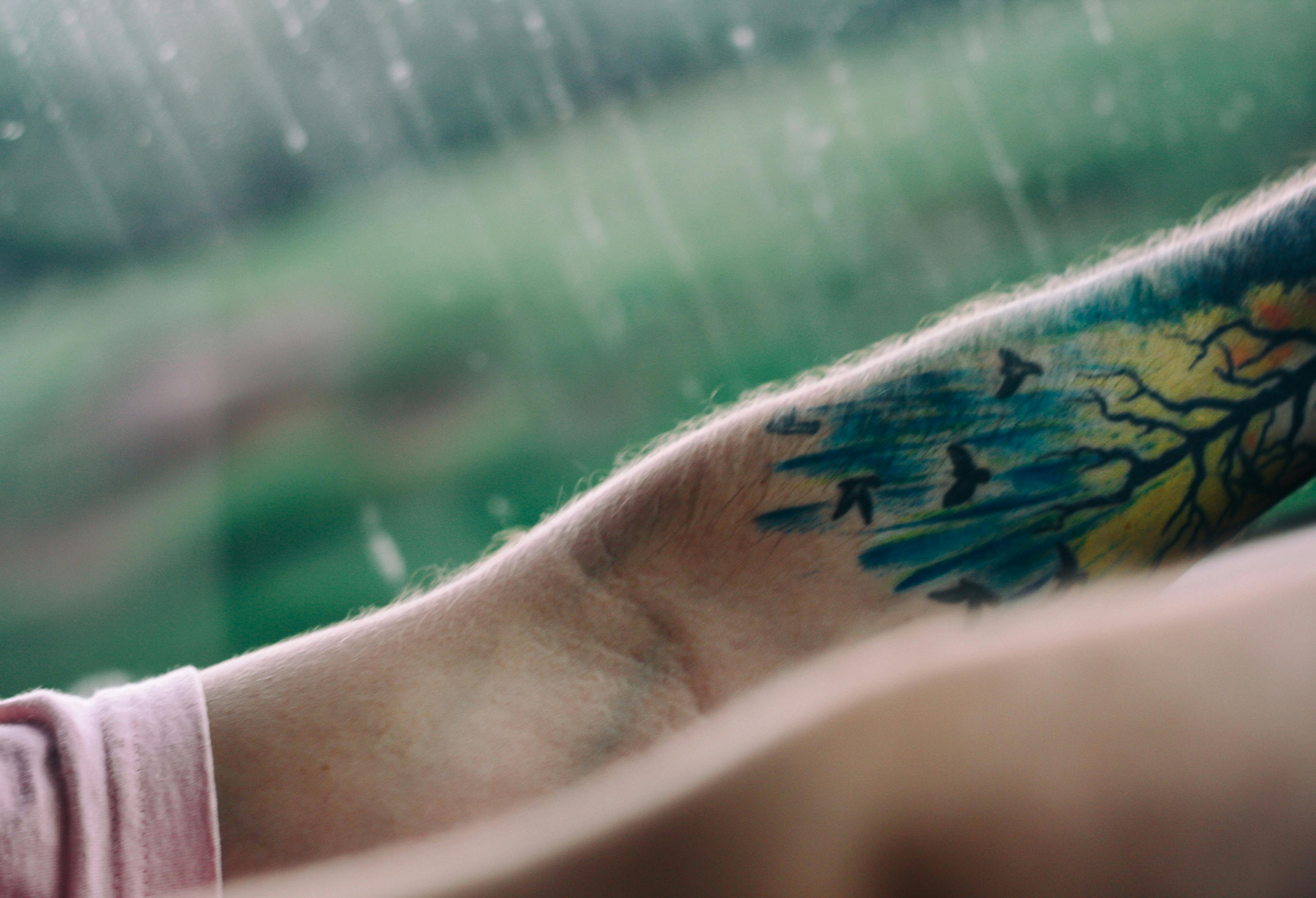 在模糊的绿色背景下，手臂上的鸟类和树木纹身显得充满活力