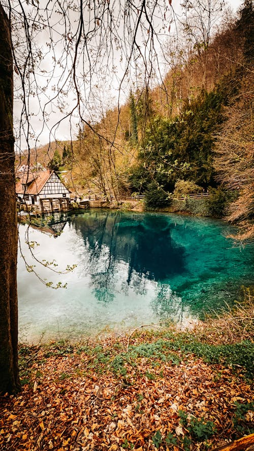 봄, 블루, 연못의 무료 스톡 사진