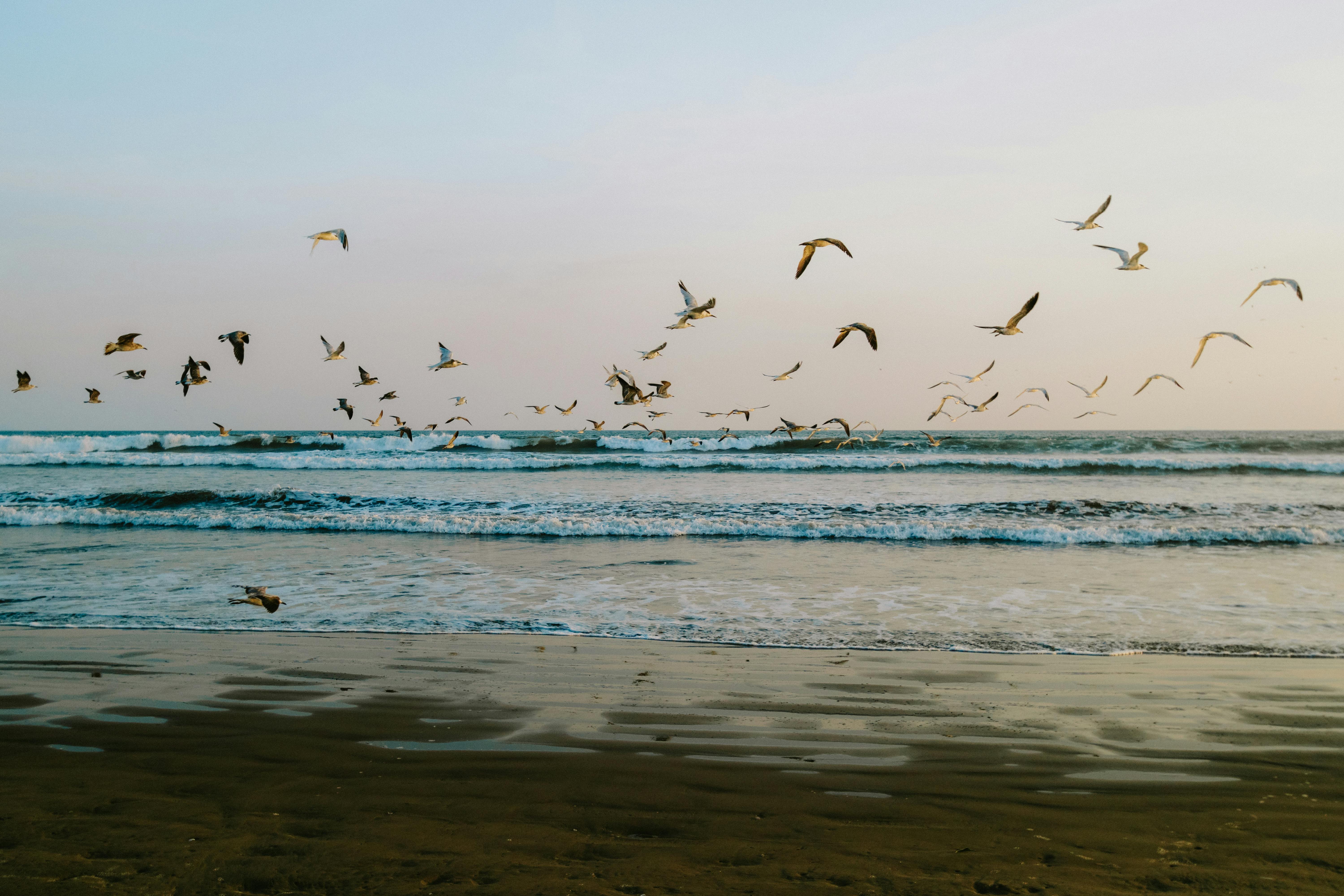 Hoteles En Panamá: Descubre Las Mejores Opciones Para Tu Estancia 2 ¿Buscas Aventura o Relax? Las Mejores Zonas para Alojarte en Panamá