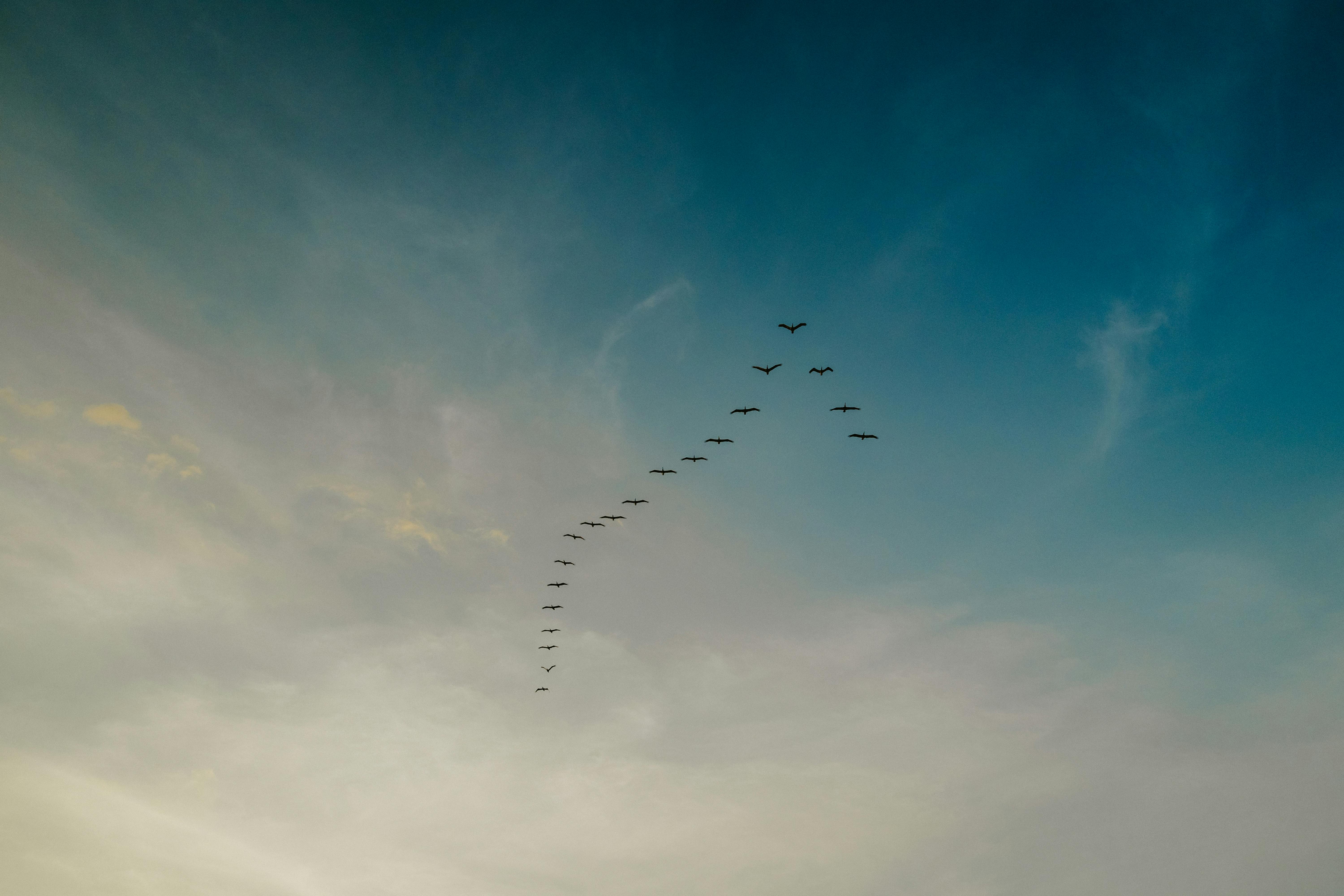 Las Oportunidades Laborales Más Demandadas en Panamá y Cómo Inadeh Puede Ayudarte a Alcanzarlas