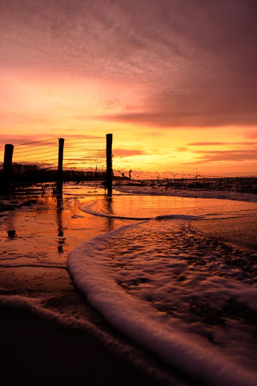 모래, 바다, 셀렉티브 포커스의 무료 스톡 사진