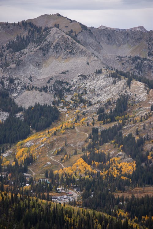 A mountain range with trees and a small town