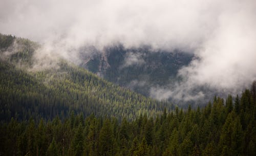 A mountain range with trees and clouds