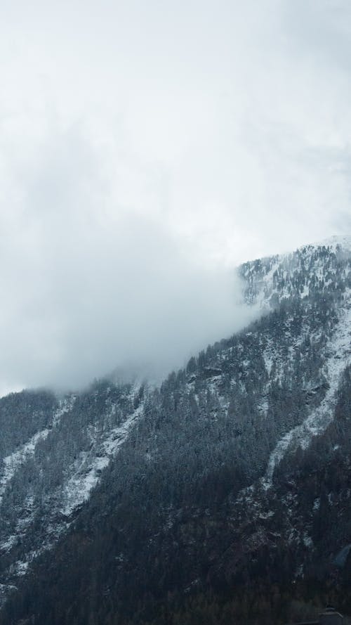 Foto profissional grátis de Alpes, Áustria, coberto de neve