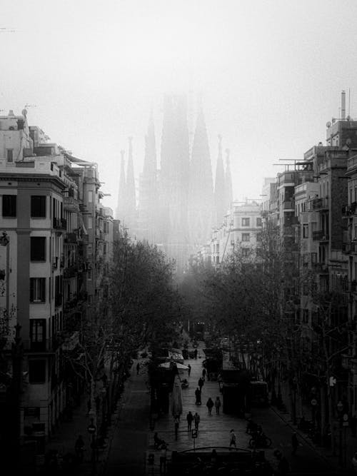 View of the Sagrada Familia