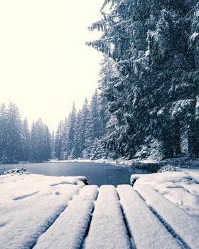 A peaceful winter scene of a snow-covered forest by a calm lake, evoking tranquility.