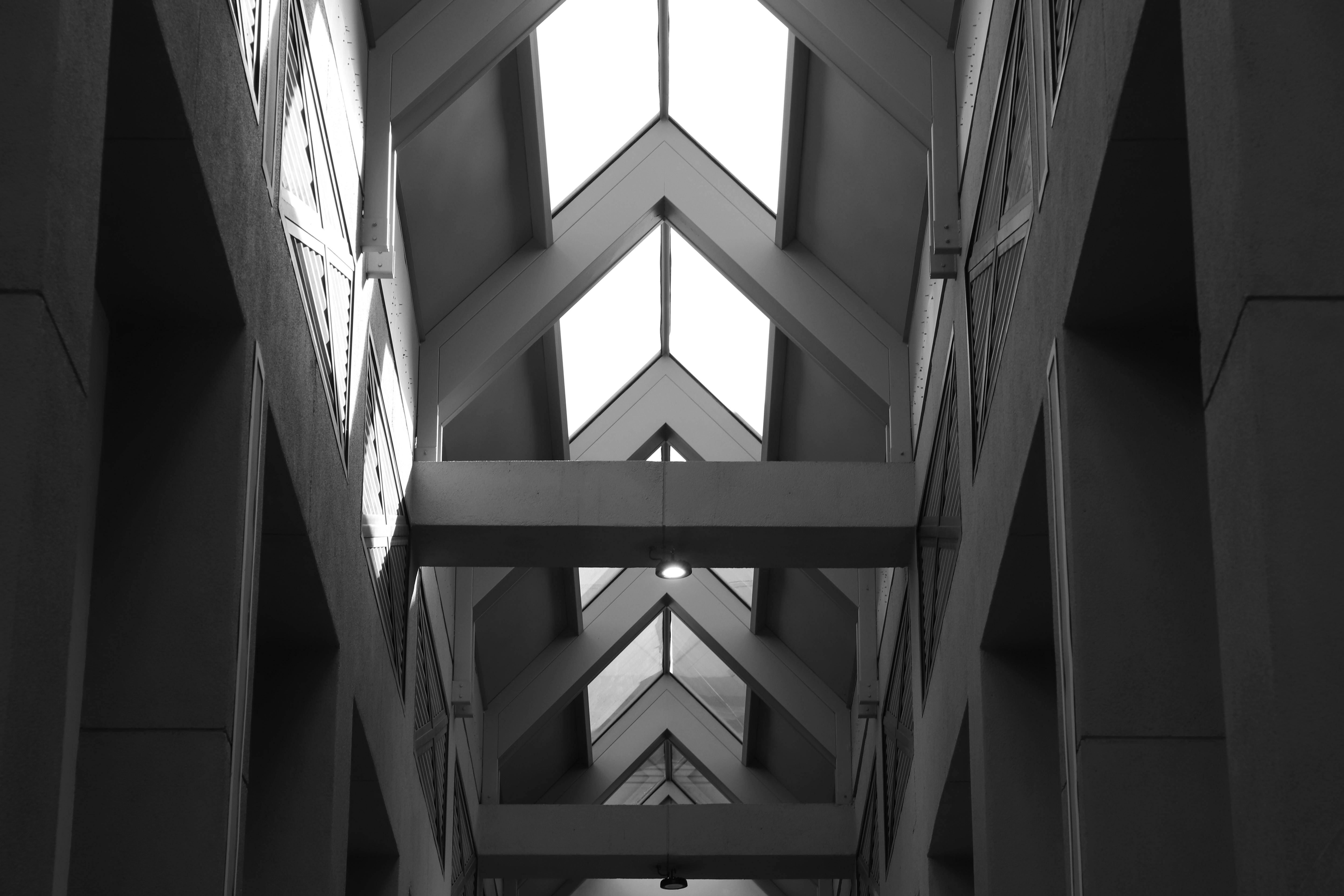 Platform Engineering: Building Internal Developer Platforms to Improve Developer Productivity — Photo by Camila Lima on Pexel