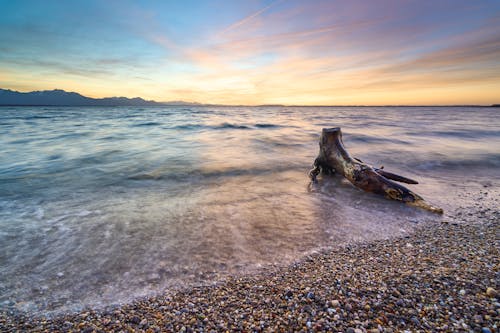 A driftwood on the beach at sunset