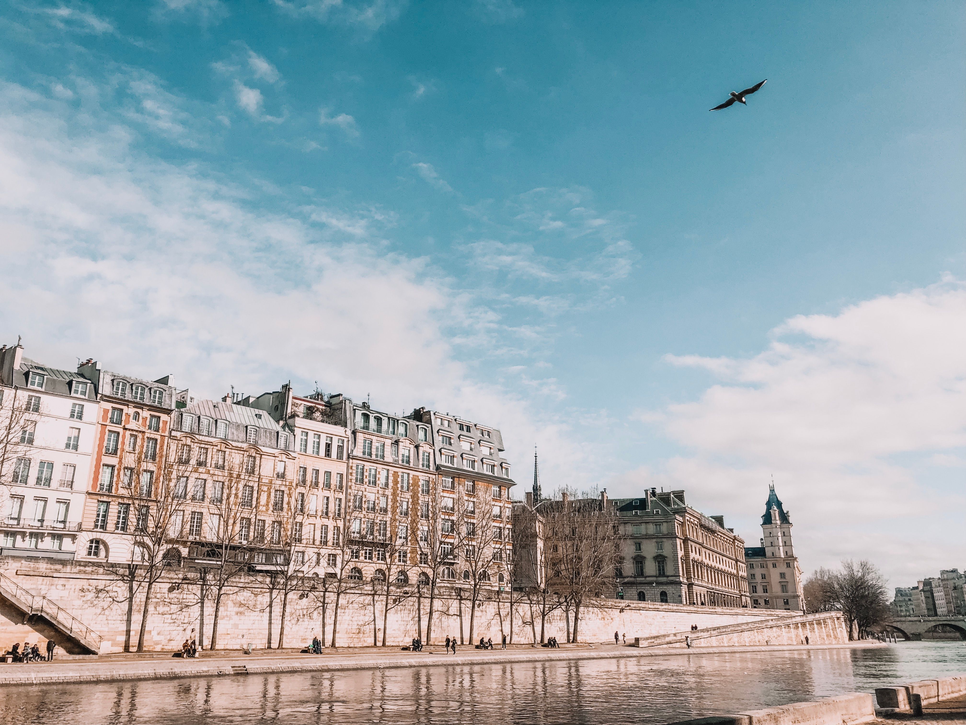 Photo of Buildings Near River · Free Stock Photo